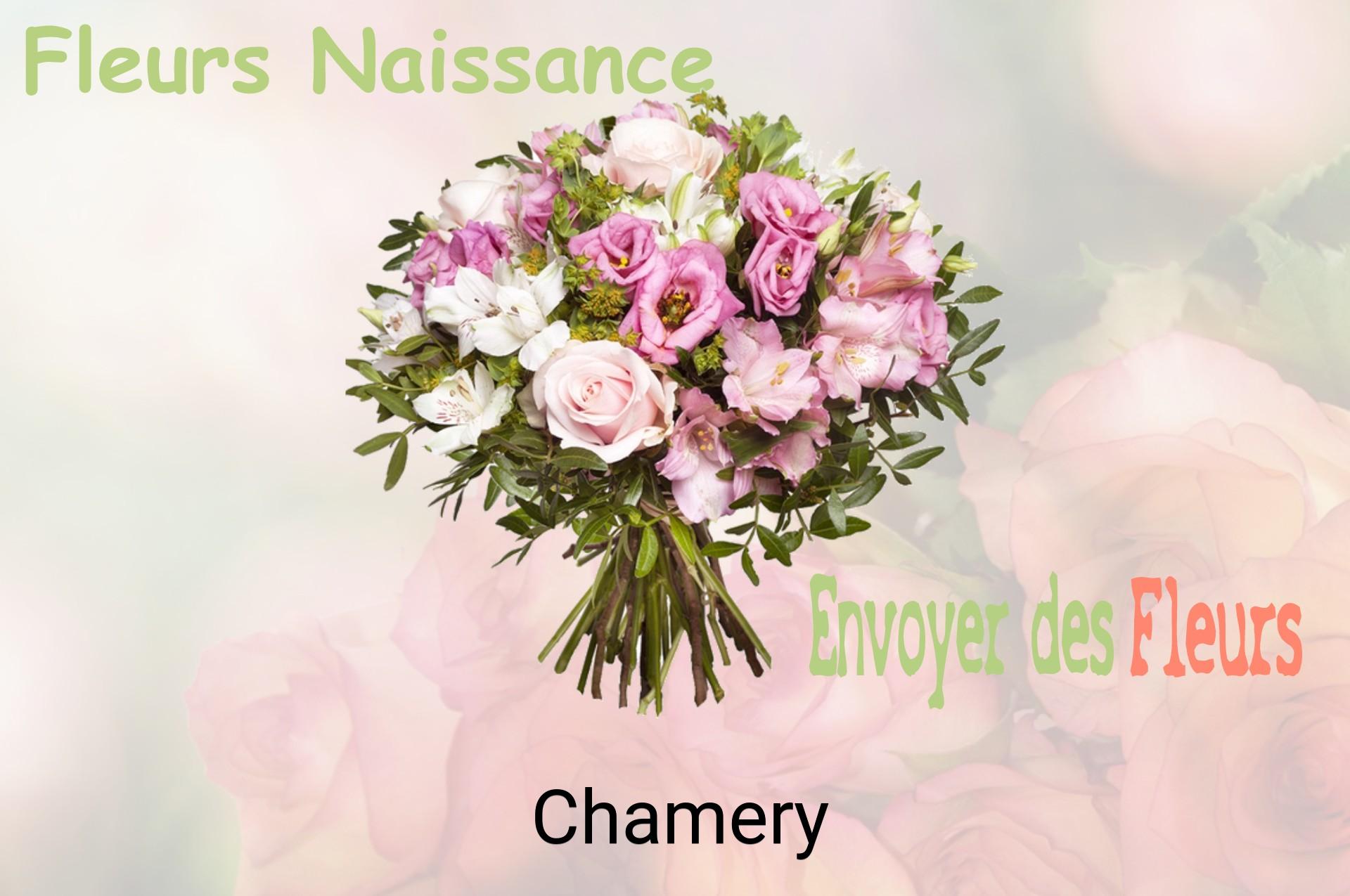 Bouquet de fleurs de naissance livré à Chamery